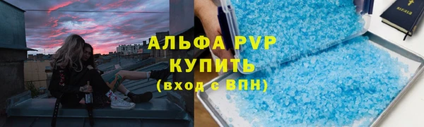 ПСИЛОЦИБИНОВЫЕ ГРИБЫ Корсаков