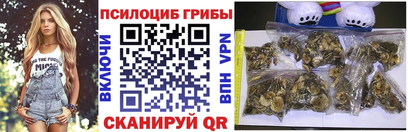 Галлюциногенные грибы Psilocybine cubensis  наркота  Велиж 